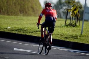 A rear view of a cyclist in a red jersey riding on a sunny outdoor road.
