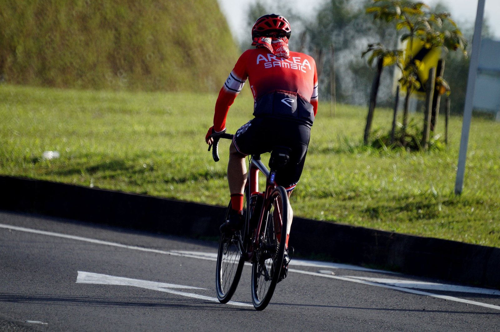 A rear view of a cyclist in a red jersey riding on a sunny outdoor road.